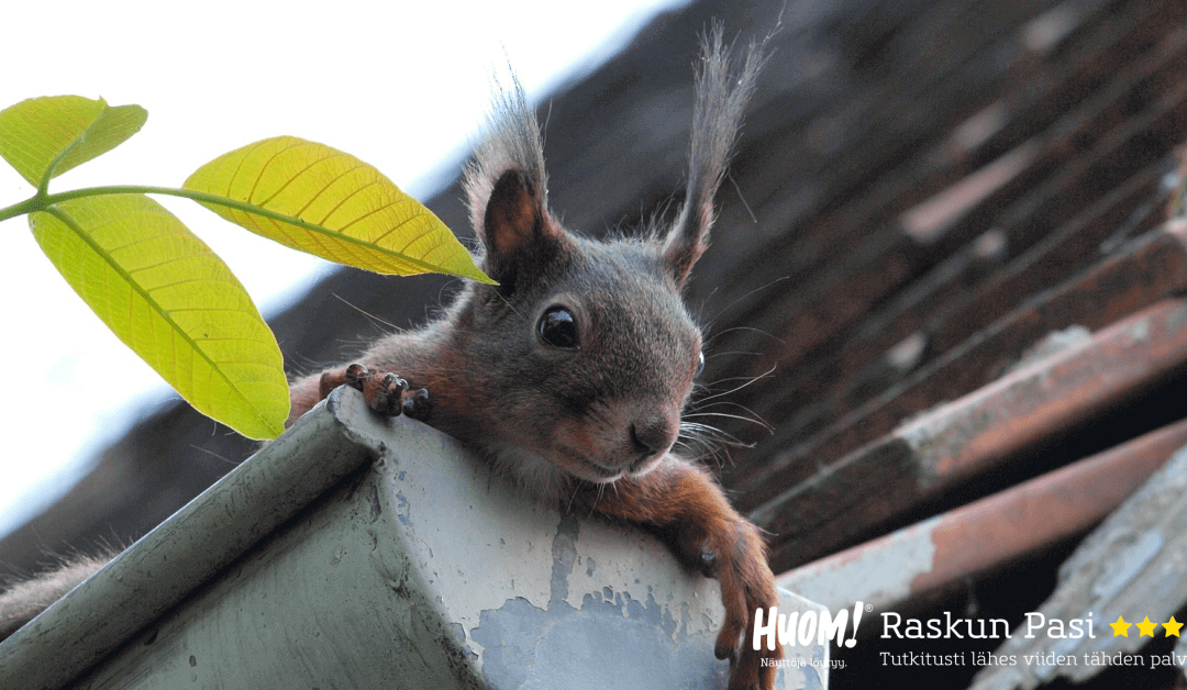 Valuuko teillä sadevesi seinää pitkin?