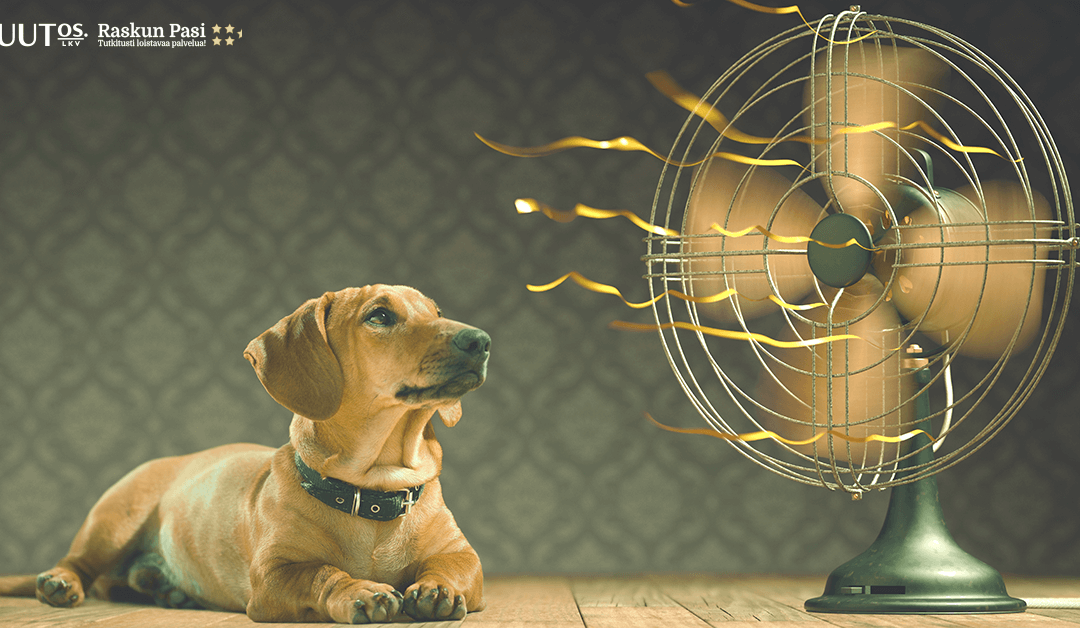 Jos kone ei viilennä kotiasi, kokeile näitä